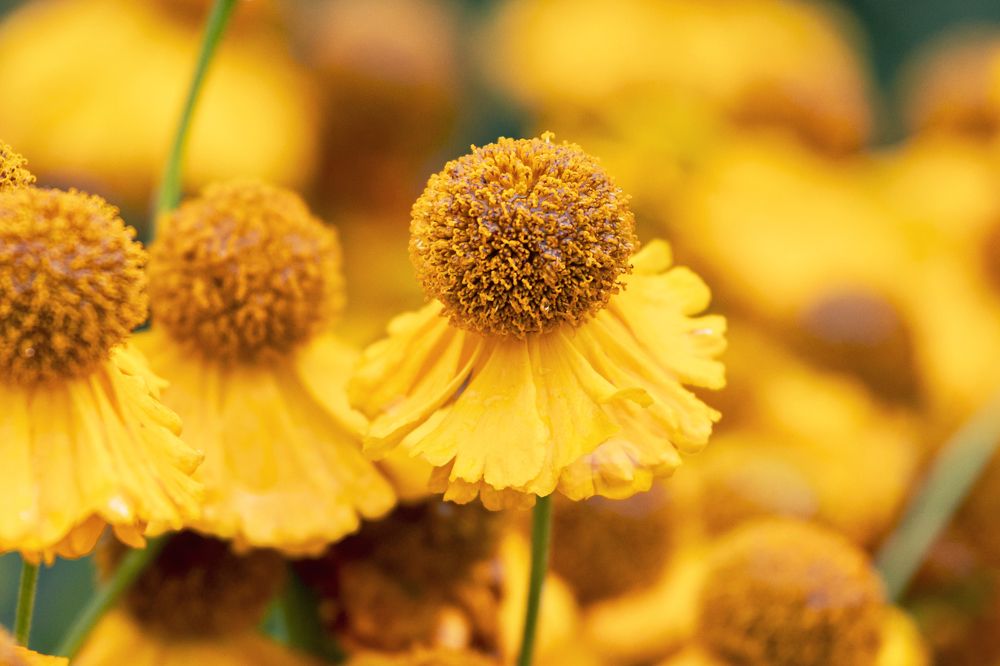 Фотография автора Наталья Василькова