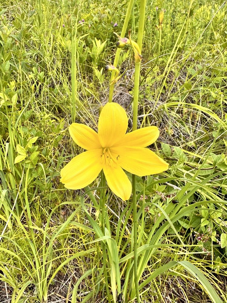 Photograph by Лейсан