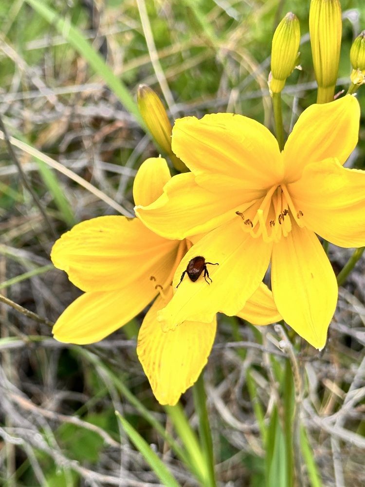 Photograph by Лейсан