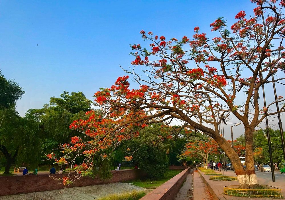 Фотография автора Washiful Majid