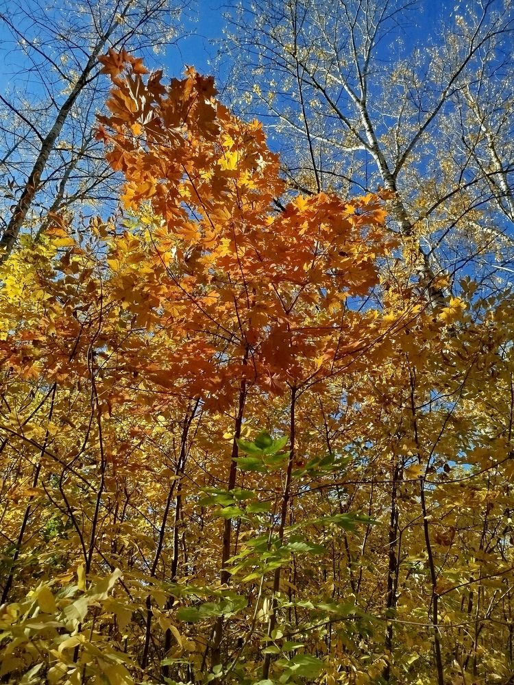 Photograph by Елена Горева