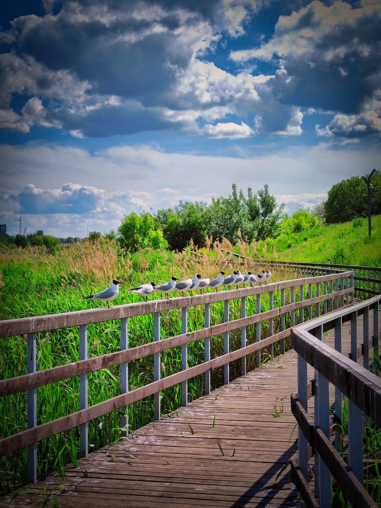 Photograph by Олега Тор