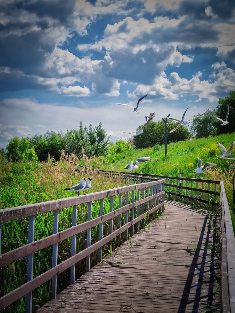 Photograph by Олега Тор