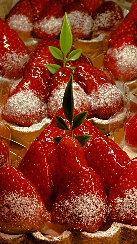 Фотография автора Yana Solomennikova