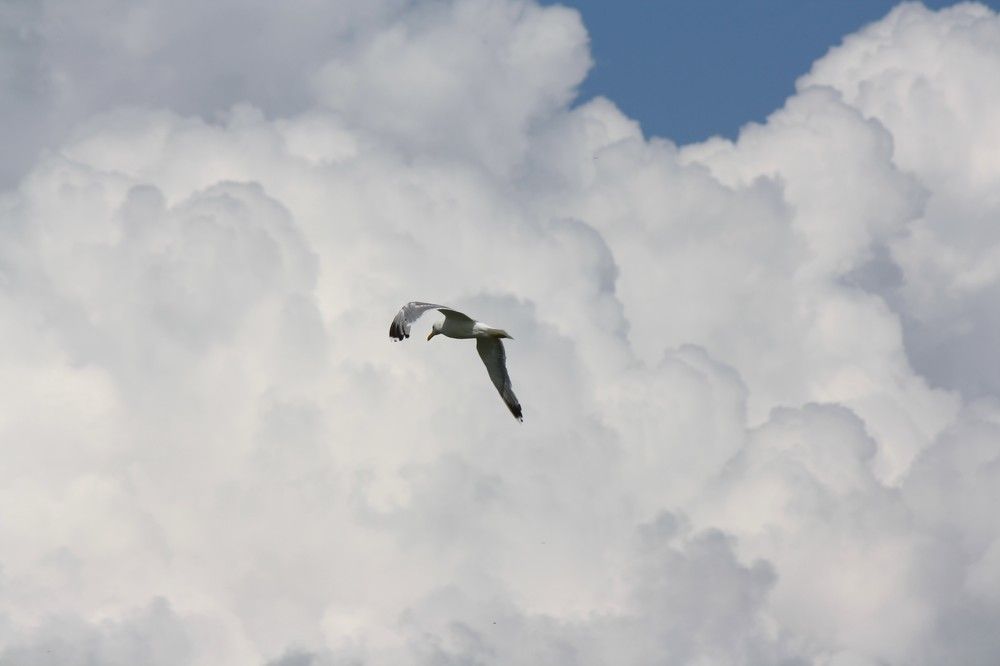 Photograph by Михаил Некрасов