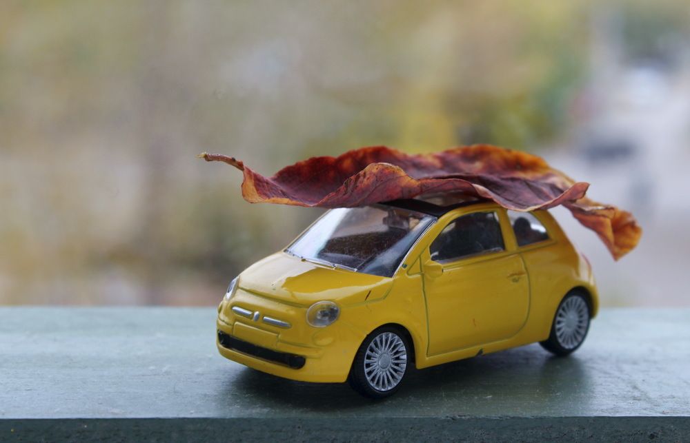 Photograph by Сироткина Нина