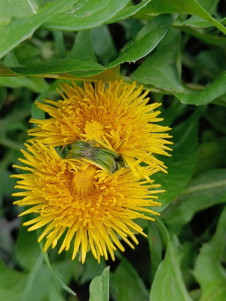 Photograph by Карина Слабкая