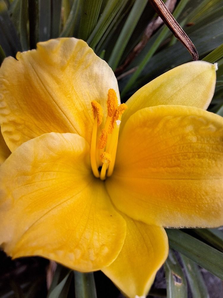 Photograph by Sonia Crotta