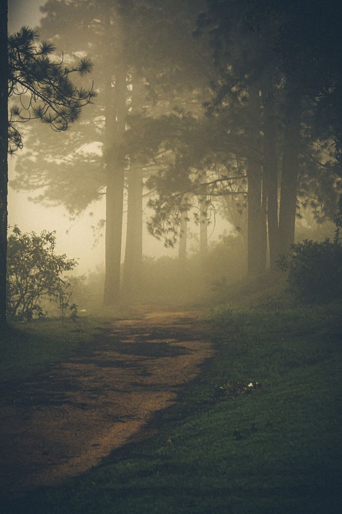 Golden Path to Serenity