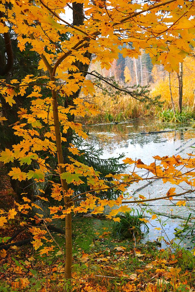 Photograph by Гагик Саркисян