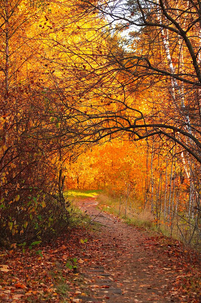 Photograph by Гагик Саркисян