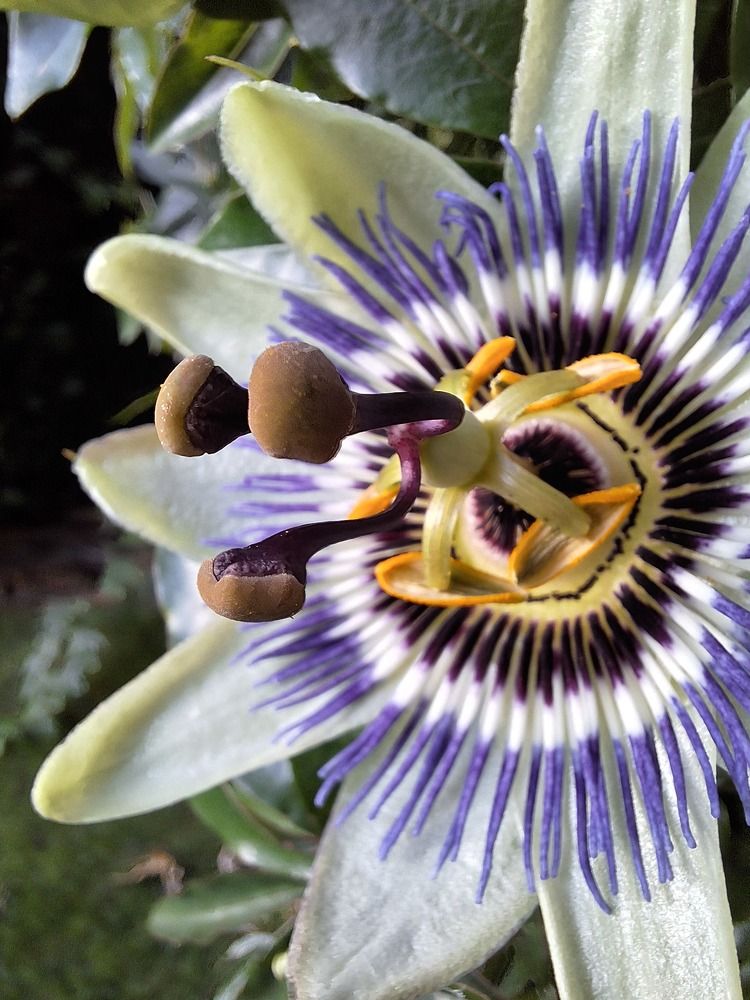 Photograph by Sonia Crotta