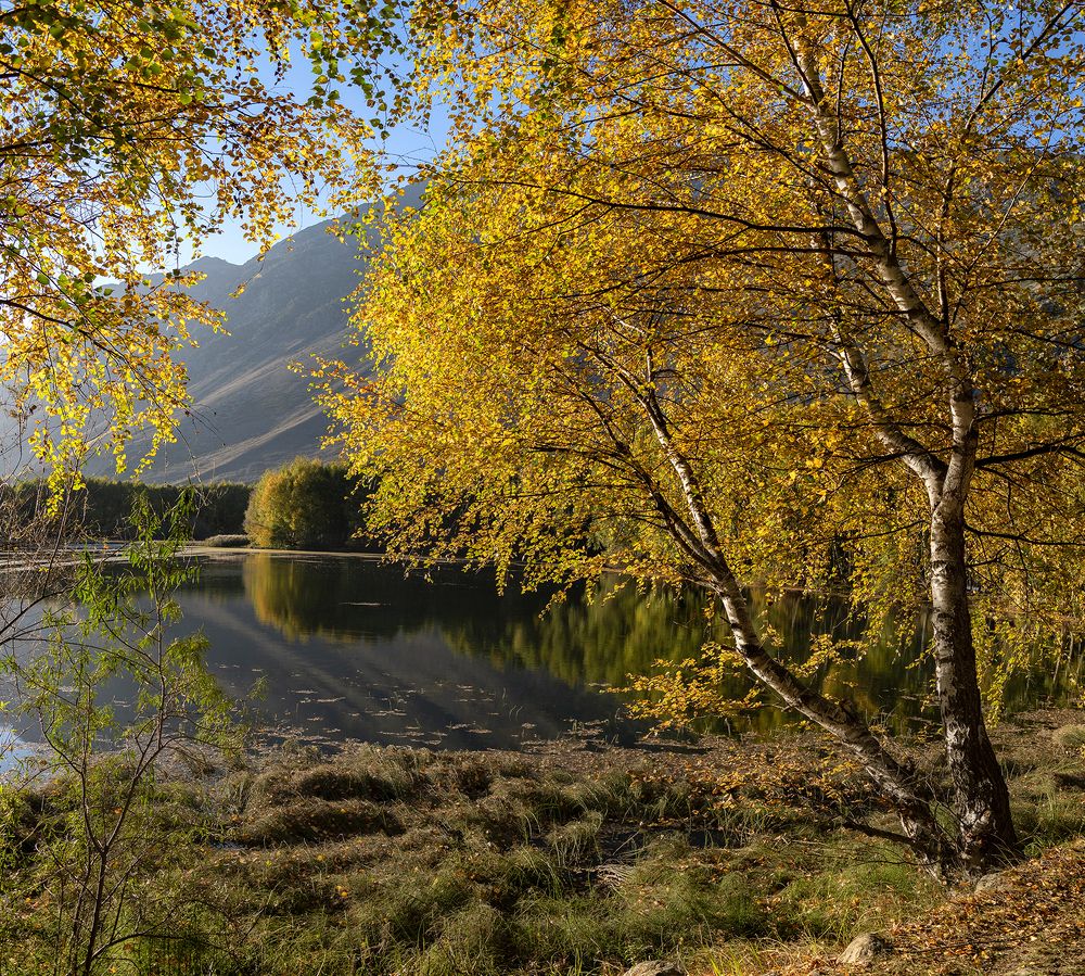 Фотография автора Шипунова Ирина