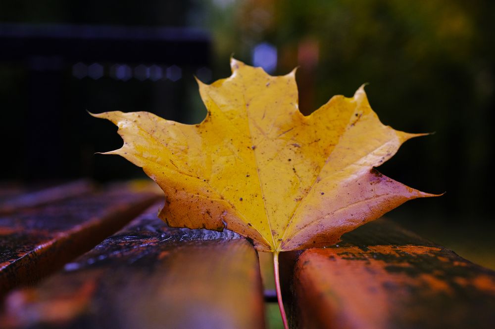 Photograph by Андрей Михайлин