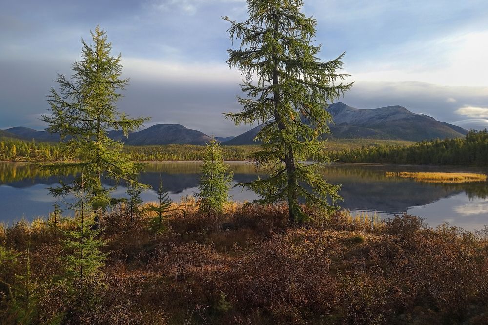 Photograph by Александр Попов