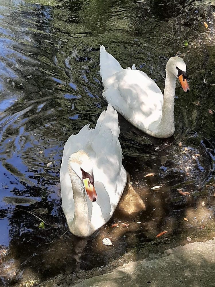 Photograph by Елена Горева