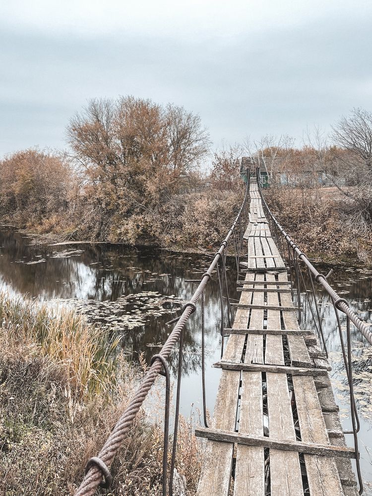 Photograph by Светлана Смук