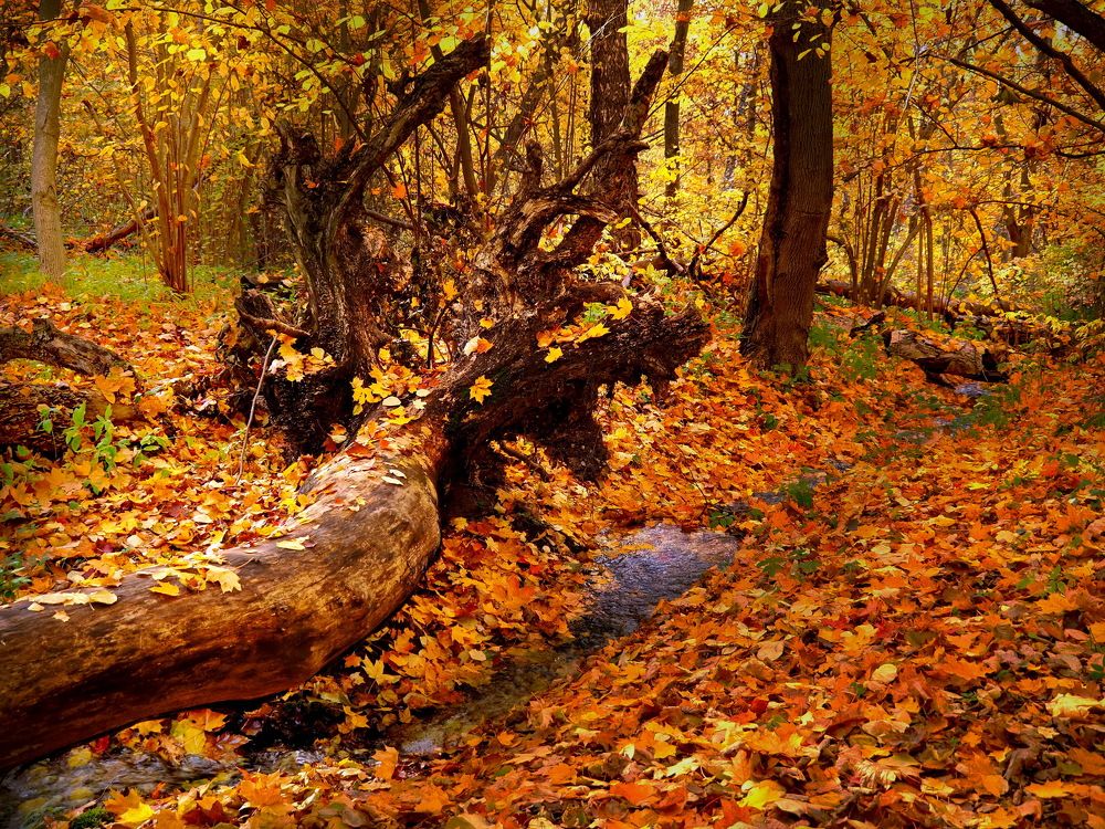 Photograph by Андрей Михайлин