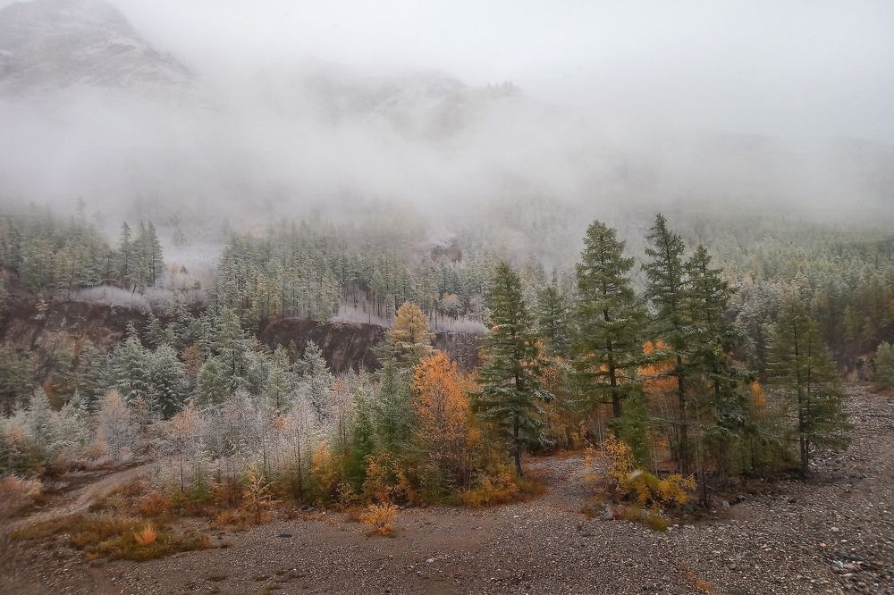 Photograph by Александр Попов