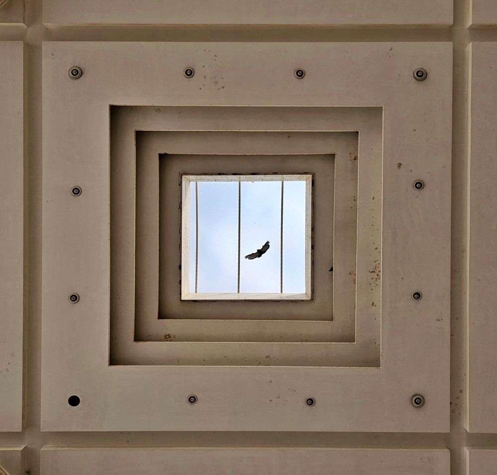 Фотография автора Samane Naji