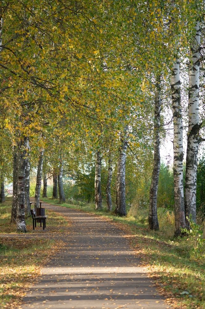 Photograph by Екатерина Одинцова