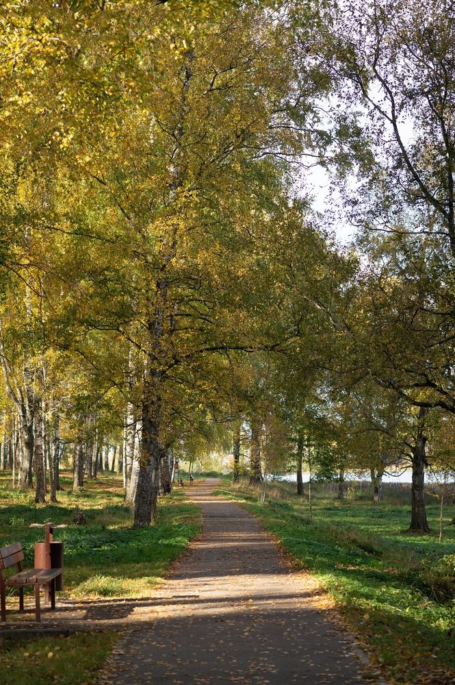 Photograph by Екатерина Одинцова