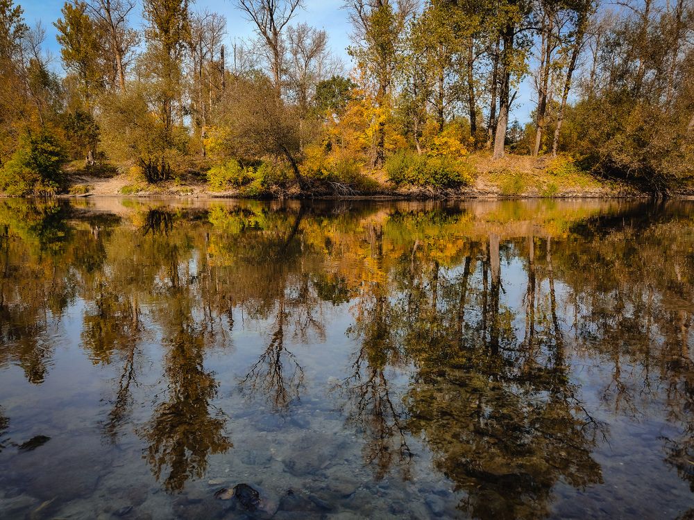 Фотография автора Чирков Пётр