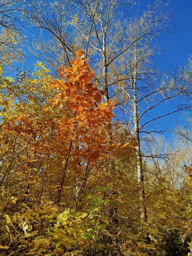 Photograph by Елена Горева