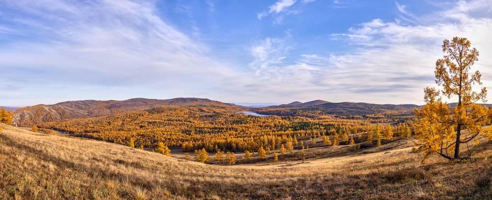 Photograph by VITALIY DYADICH