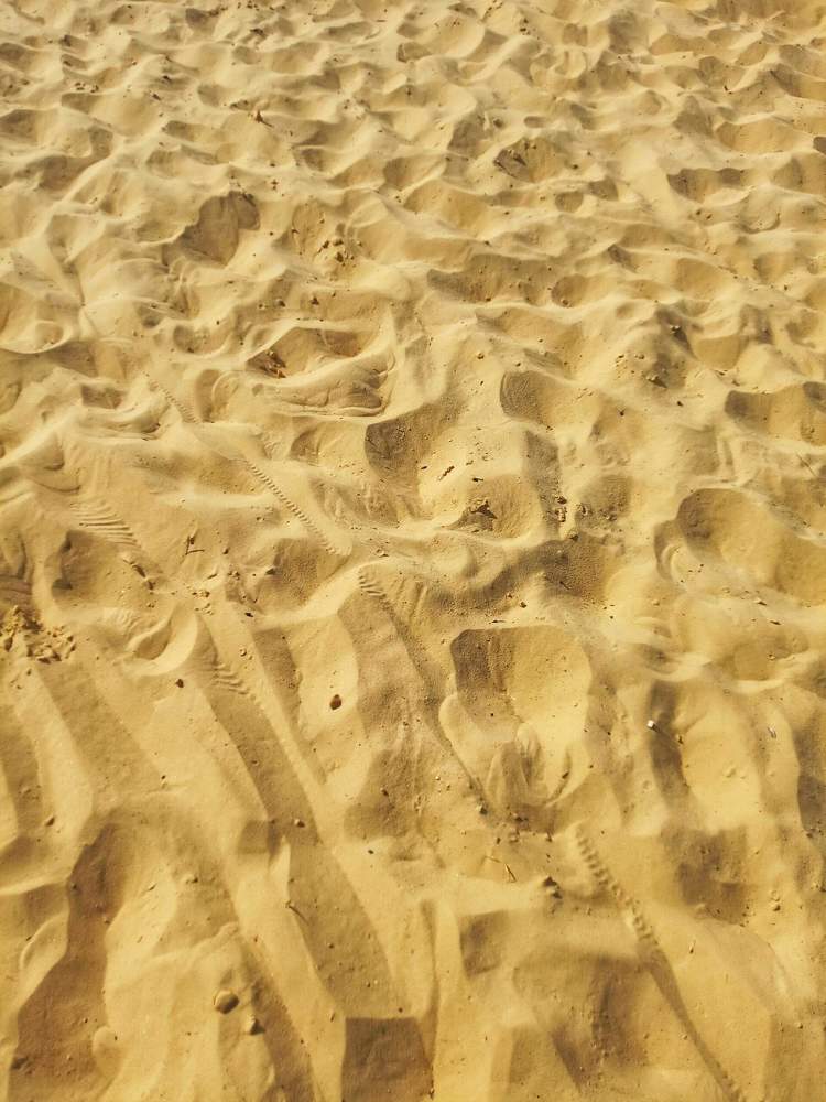 Photograph by Настя Настена