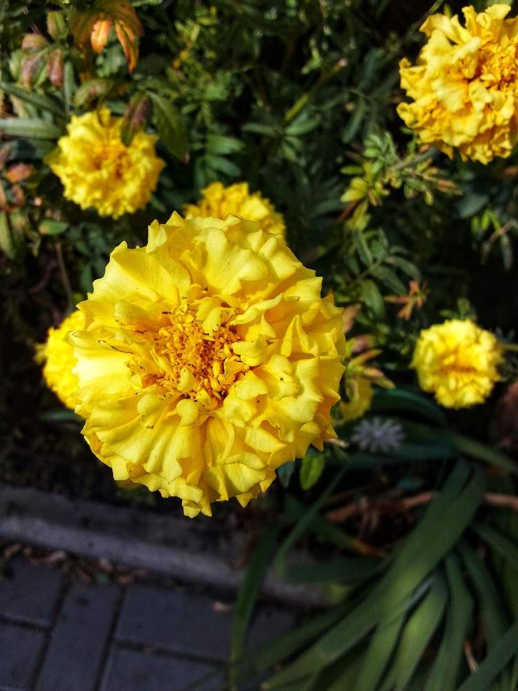 Photograph by Настя Настена