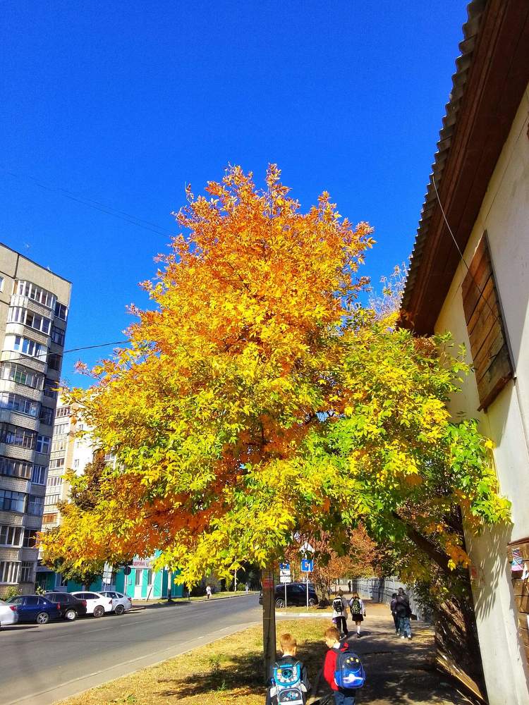 Photograph by Настя Настена