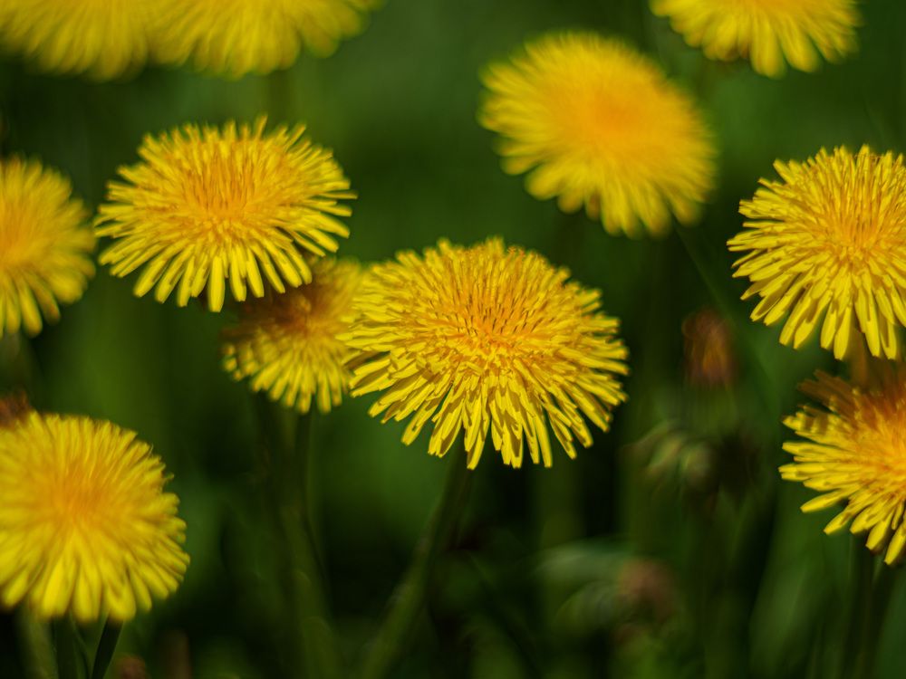 Photograph by Михаил