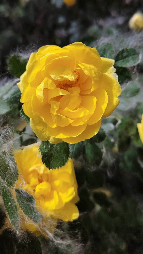 Фотография автора Анна Морозова