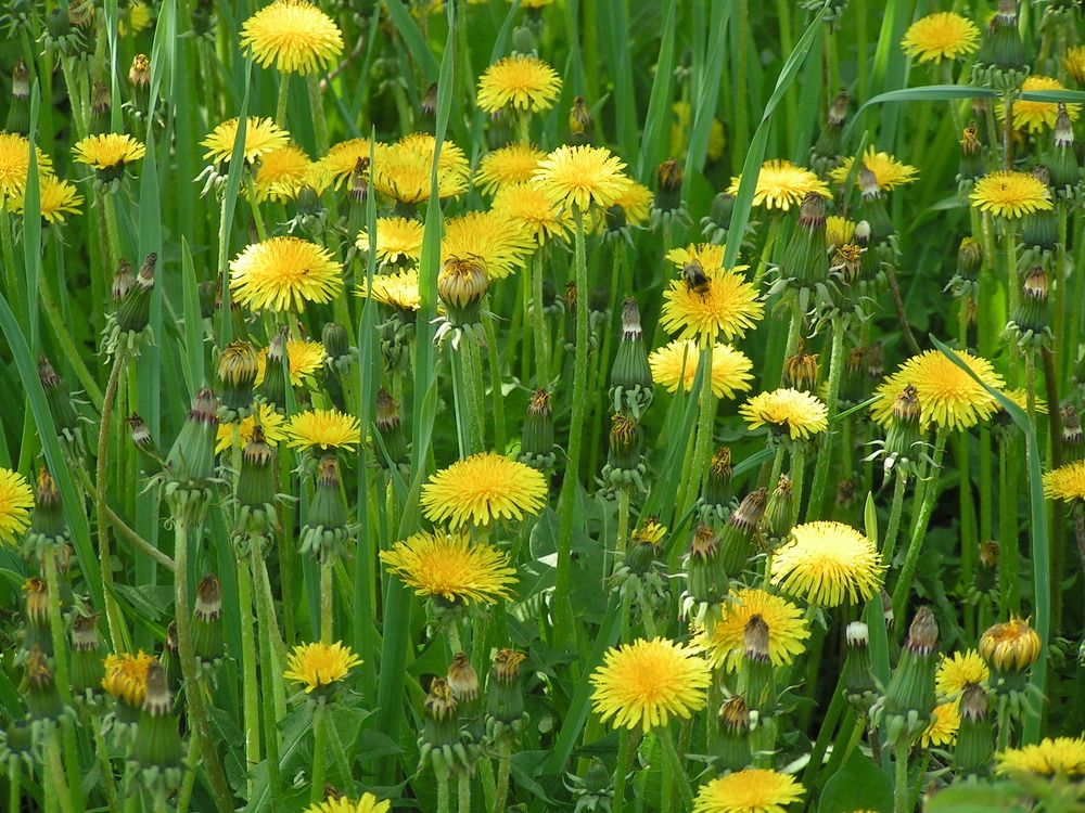 Фотография автора Клавдия Васильева