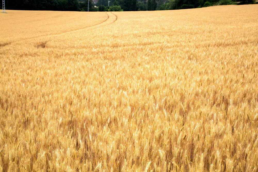 Photograph by Михаил