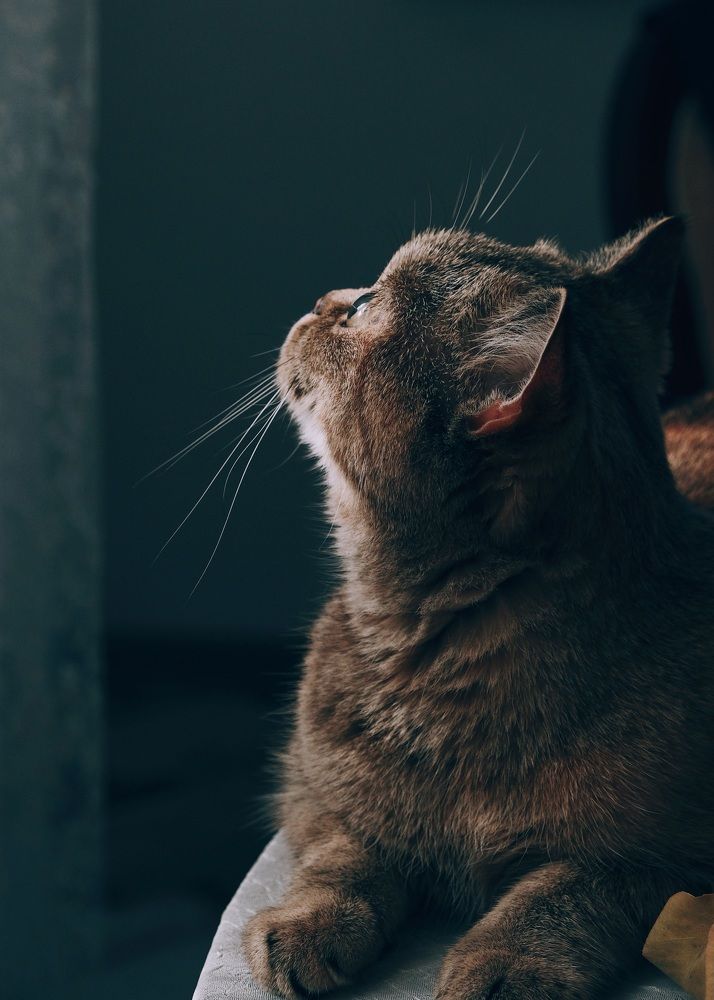 Photograph by Яна Истоцкая