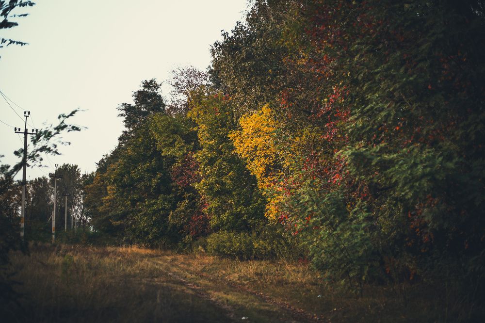 Photograph by Уладзiслаў Планкоў