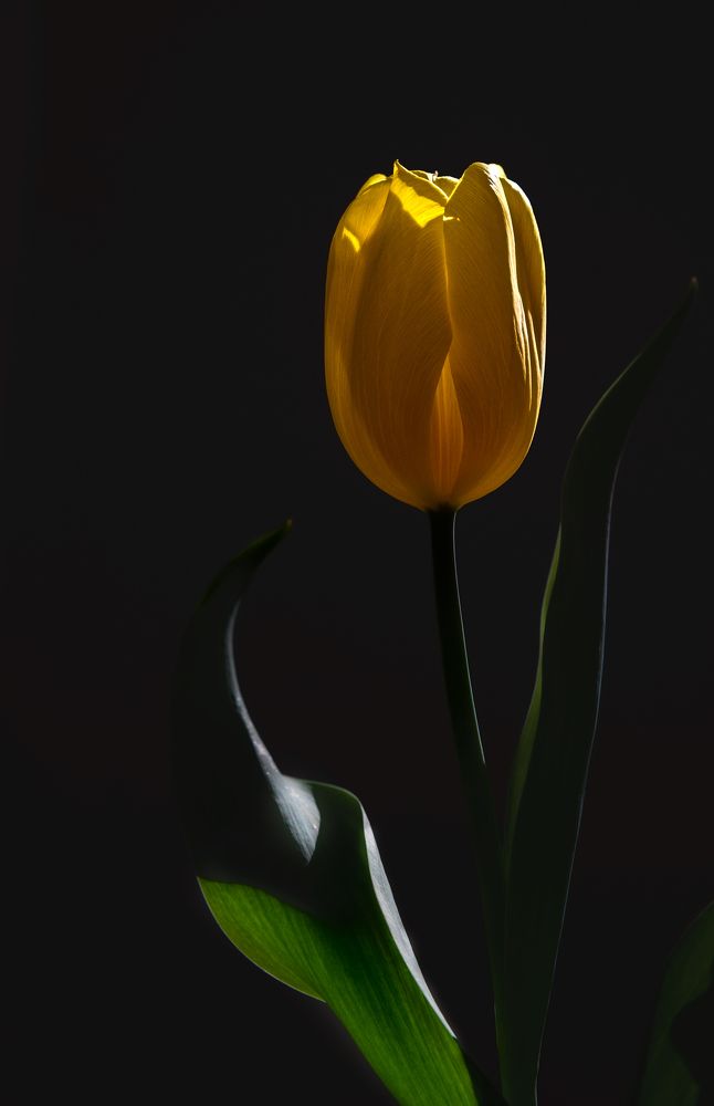 Photograph by Riahi Hosein