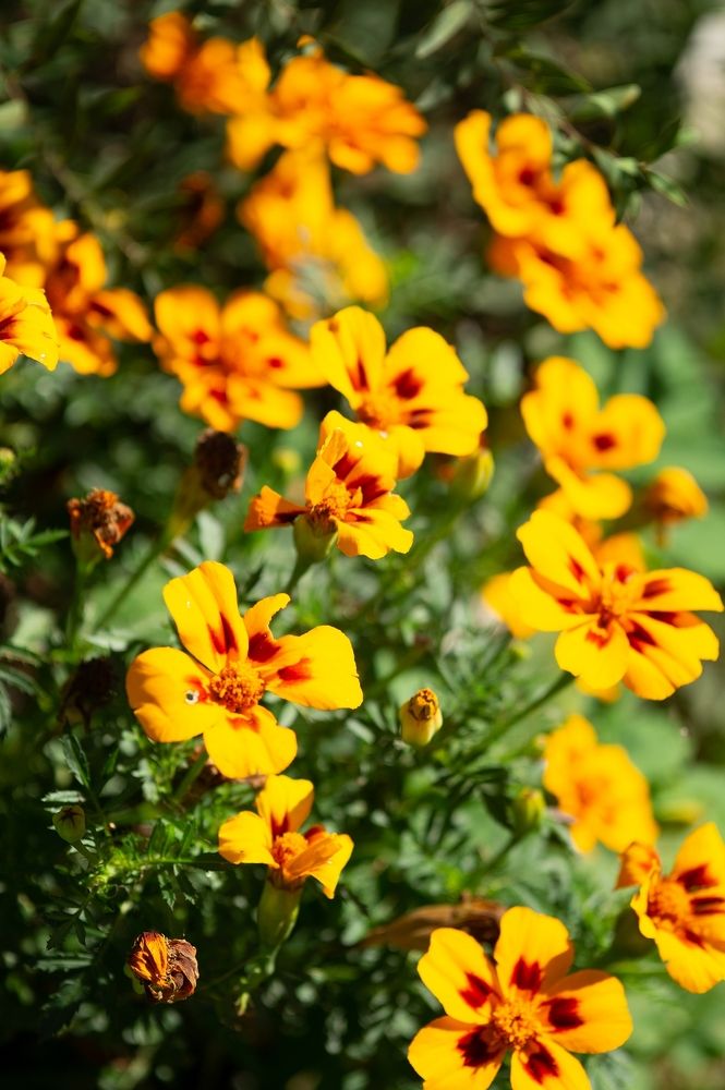 Photograph by Екатерина Одинцова