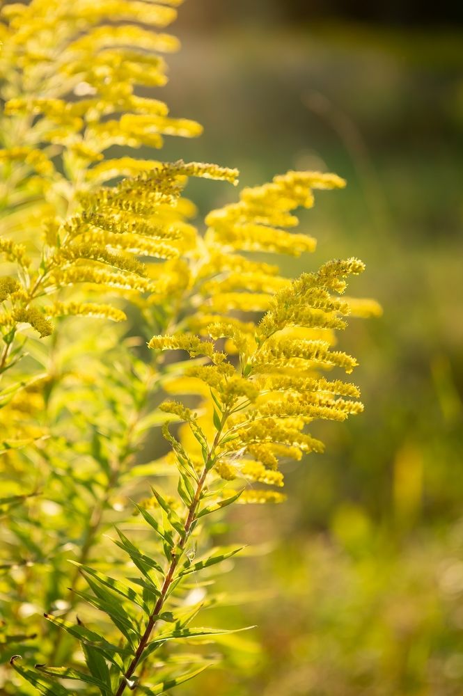 Photograph by Екатерина Одинцова