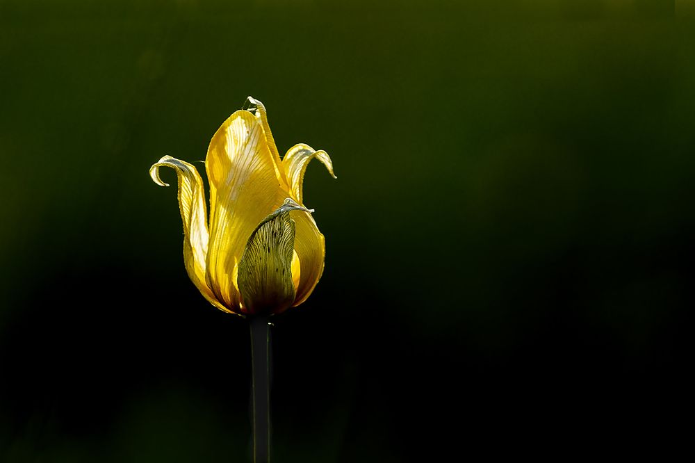 Photograph by Наталия Шинкевич