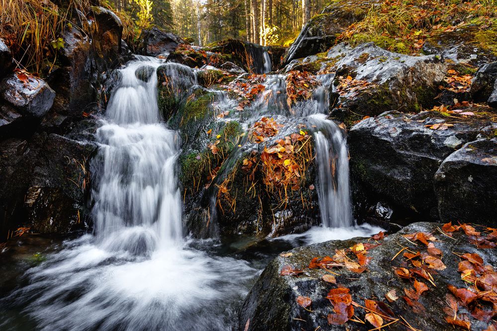 Фотография автора Алексей Крючков