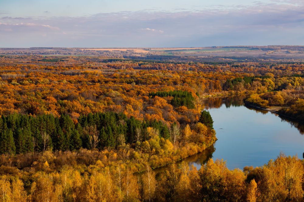 Фотография автора Дмитрий Новиков