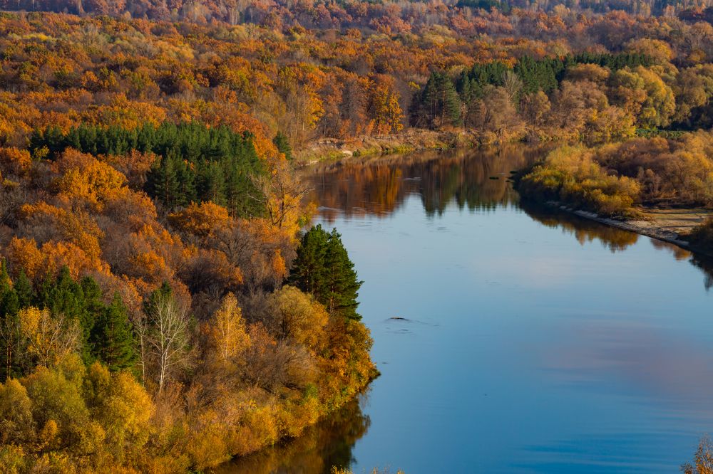 Фотография автора Дмитрий Новиков