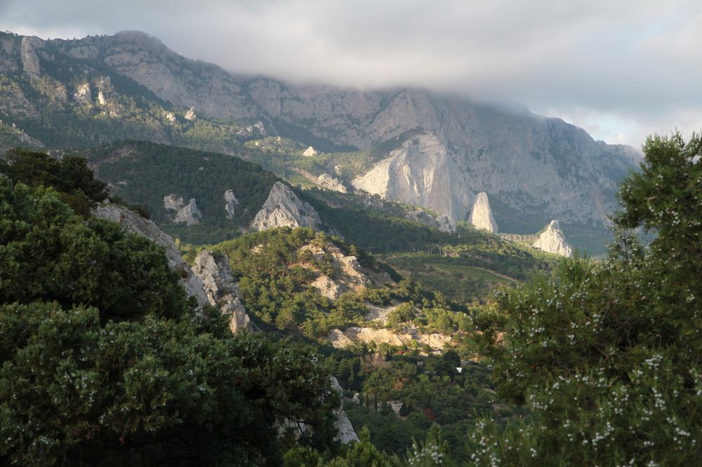 Photograph by Юлия Дурнева