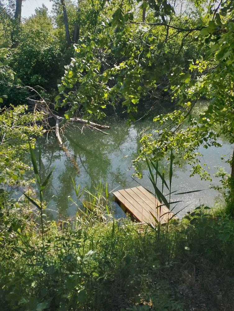 Photograph by Дарья Куликова