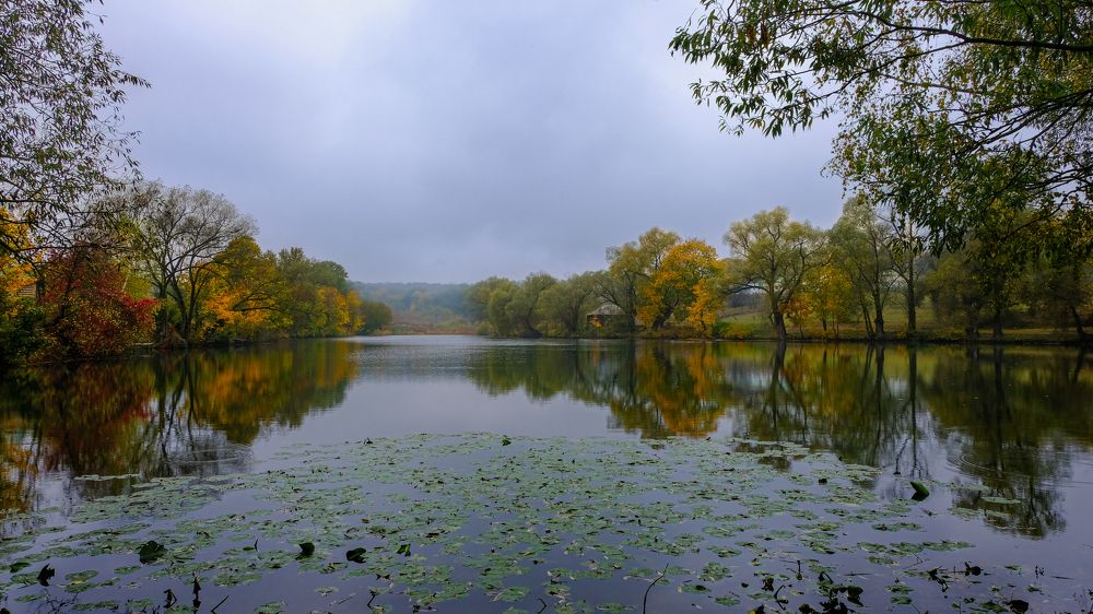 Photograph by Александр Елизаров