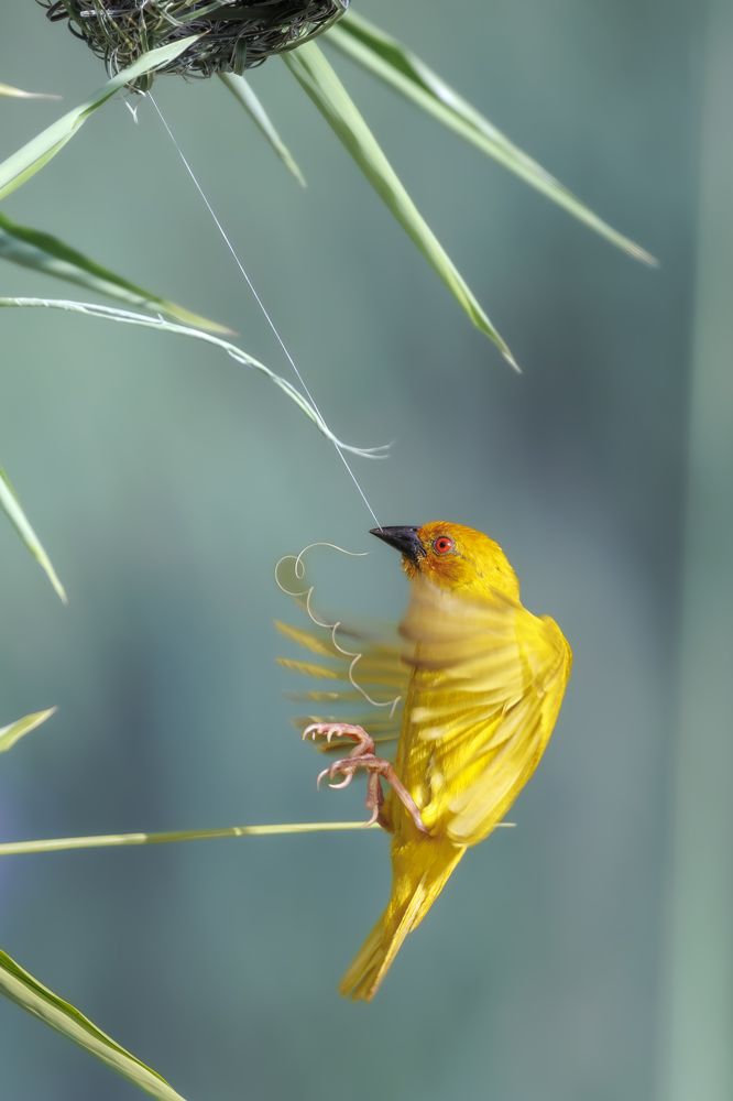 Photograph by Ellen Lichtenheldt