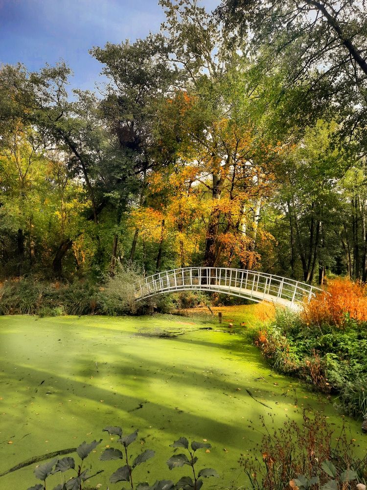 Фотография автора Irina Vornacheva